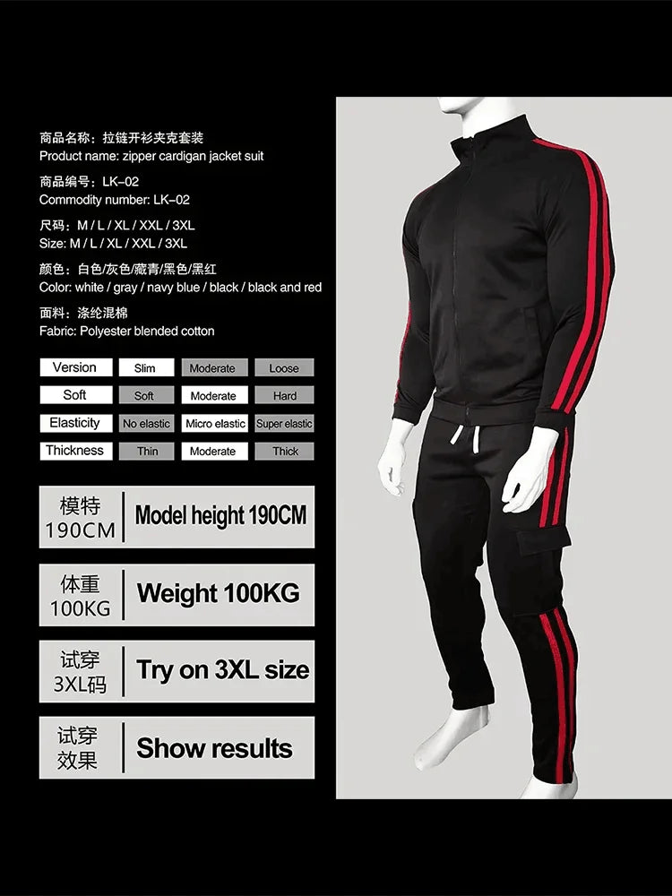 Men's Zipper Stand up Collar Sportswear Set, Sweatshirts and Sweatshirts, Sportswear, Running, Fitness Clothes, New, 2024